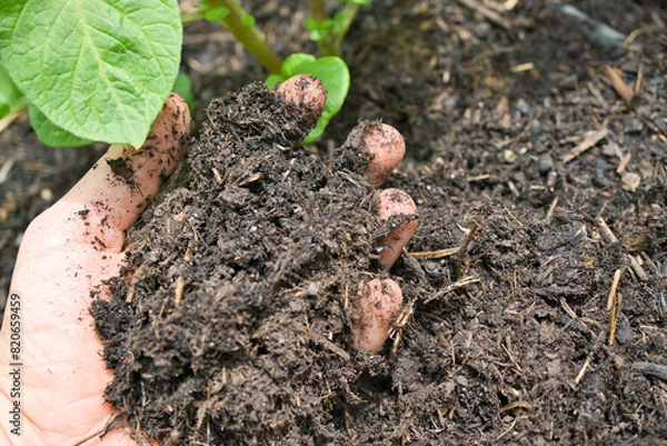 Obraz Kompost - Gartenarbeit 