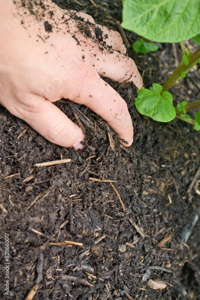 Obraz Kompost - Gartenarbeit 