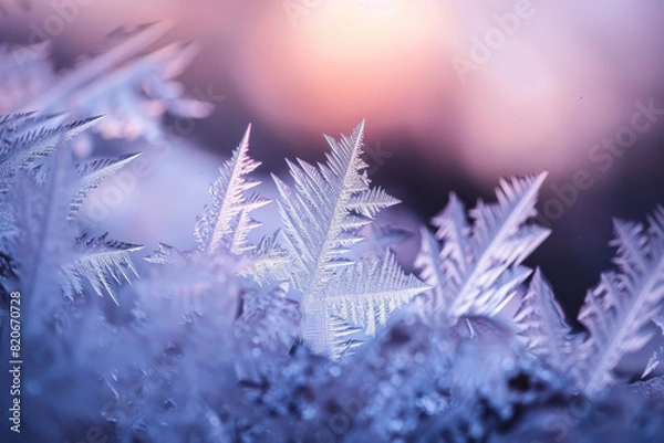 Fototapeta A close up of snowflakes with a blue and purple background