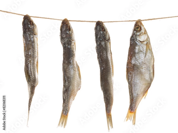 Obraz salted fish on a rope