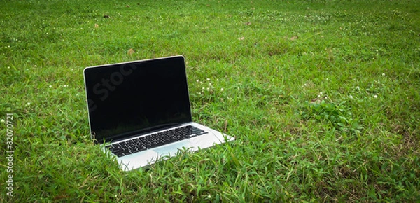 Obraz Laptop computer on green grass