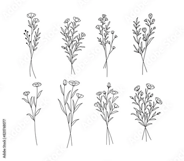Fototapeta Wildflower line art set. Hand drawn flowers, wild plants, botanical elements for design projects. Vector illustration
