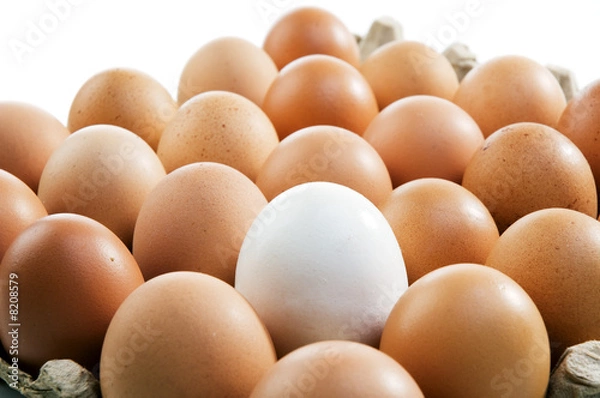 Fototapeta Eggs in a tray