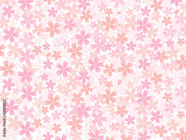 Fototapeta 桜　花　背景