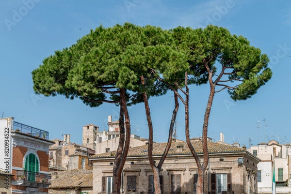 Obraz Piazza Plebiscito Lanciano