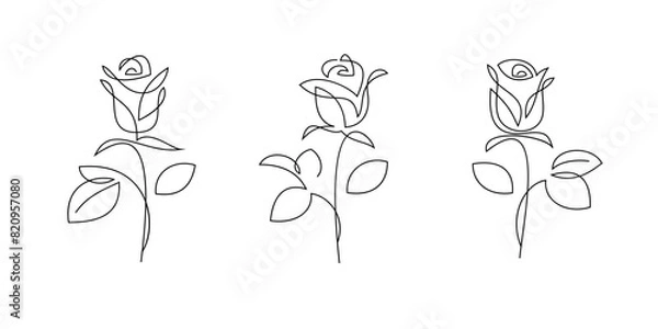 Obraz One line rose flowers, vector drawing