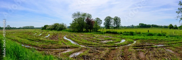 Fototapeta Panoramic photo of an agricultural landscape with tractor tire tracks crisscrossing each other, which are filled with rainwater. With forests in the background and a blue cloudy sky.