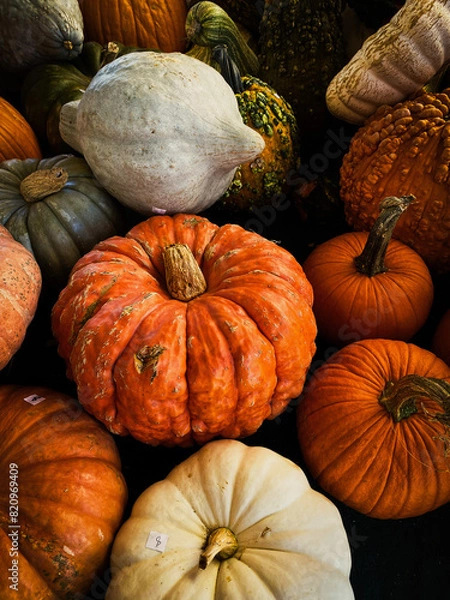 Obraz pile of pumpkins