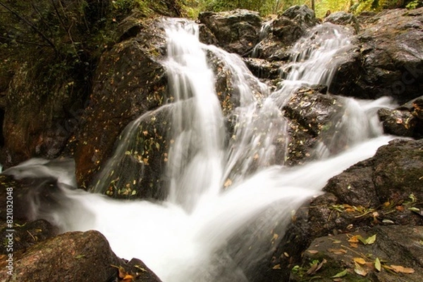 Fototapeta Chute d'eau