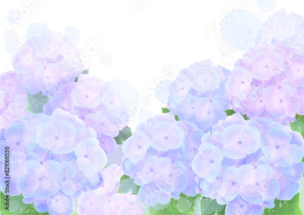 Fototapeta 水彩風のあじさいの背景フレーム