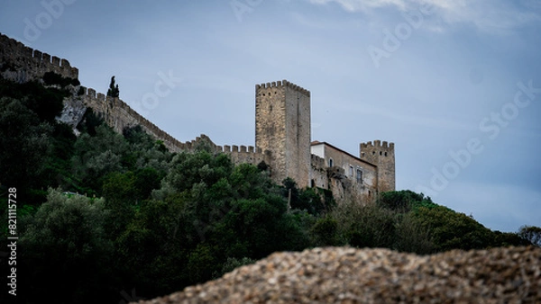 Fototapeta ruins of the castle
