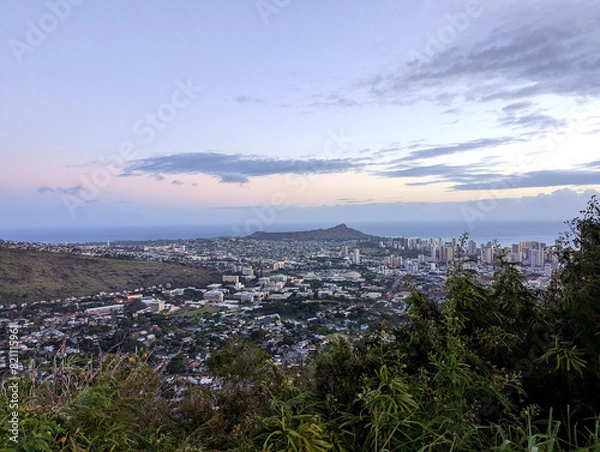 Obraz lavender field at sunset