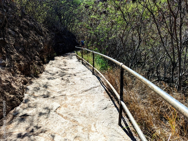 Obraz stone path in the mountains
