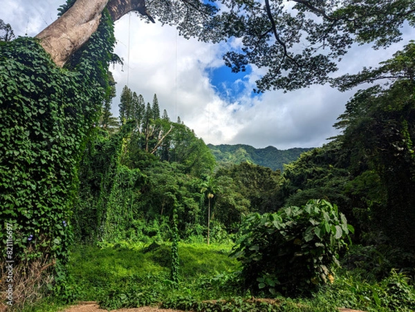 Obraz tree in the mountains