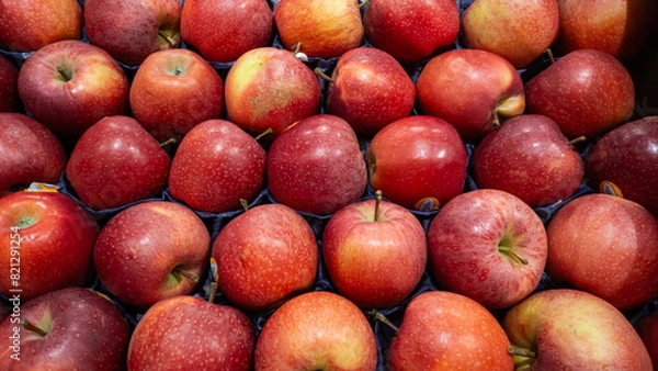 Fototapeta äpfel