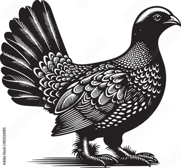 Obraz grouse Vector Illustration