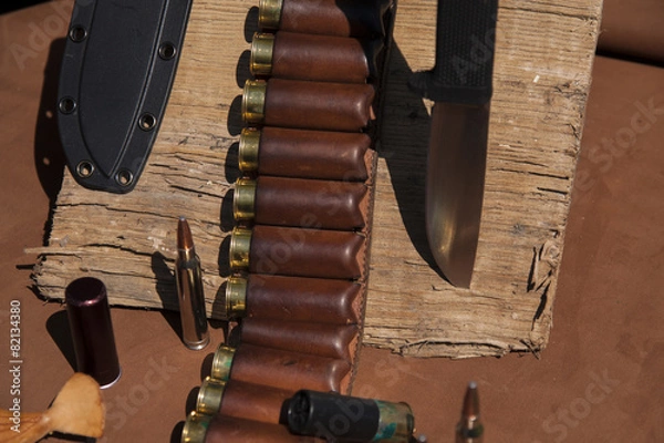 Fototapeta ammunition on the skin