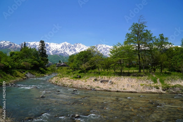 Fototapeta 新緑の大出公園から眺めた北アルプス