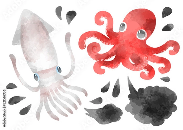Obraz タコとイカのイラスト　手描き　水彩風ｖ