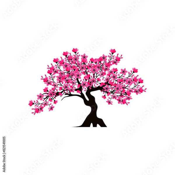 Obraz cherry blossom tree isolated on white backdrop.