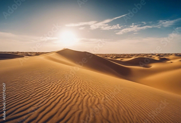 Fototapeta Landscape with sand dunes in the desert