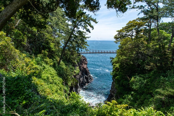 Fototapeta 春の城ヶ崎海岸（静岡県）
