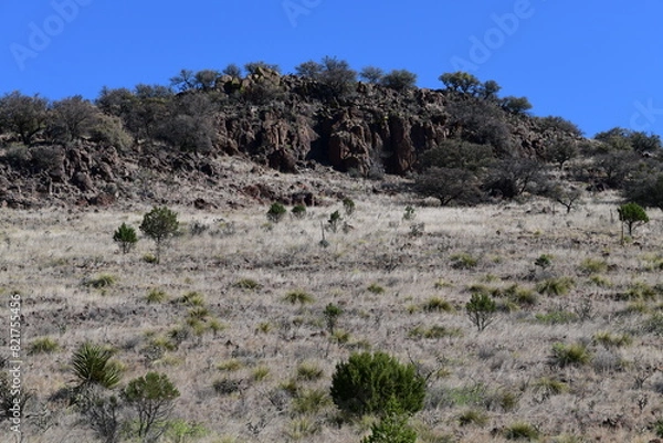 Fototapeta landscape with blue sky