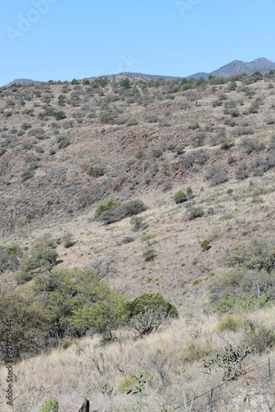 Fototapeta landscape with blue sky