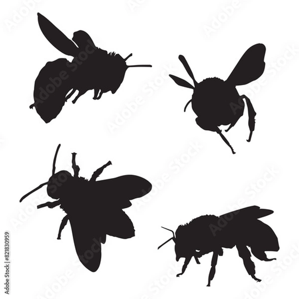 Obraz Set of Bee Silhouette Art Vector Illustration