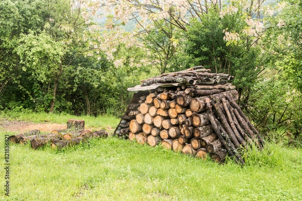 Fototapeta Pile of stacked firewood in rural farm meadow in spring time