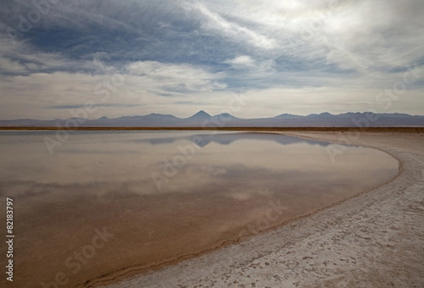 Obraz Laguna Cejar - désert de Atacama