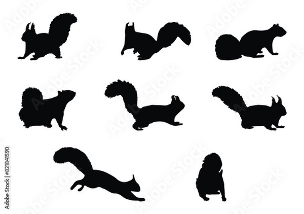 Obraz Set of Squirrel silhouette Vector Illustration