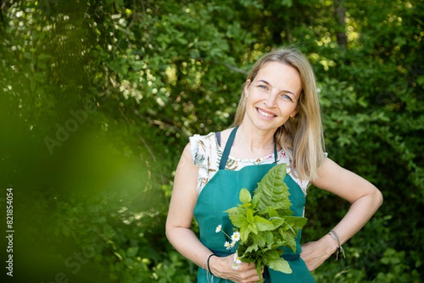 Obraz pretty, attractive woman in her early 40s, collects wild herbs in the garden, meadow, forest for a salad, for cooking, eating, for smoothies