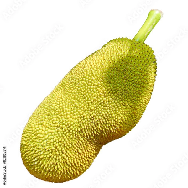 Obraz jackfruit isolated on white
