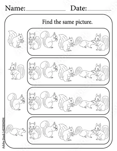 Fototapeta Squirrel Puzzle. Printable Activity Page for Kids. Educational Resources for School for Kids. Kids Activity Worksheet. Find Similar Shape