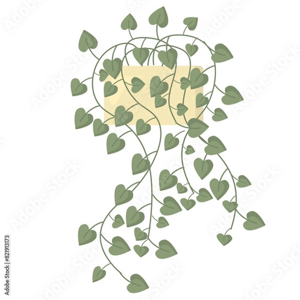 Fototapeta Green houseplant with many little leaves in flower pot isolated on white background