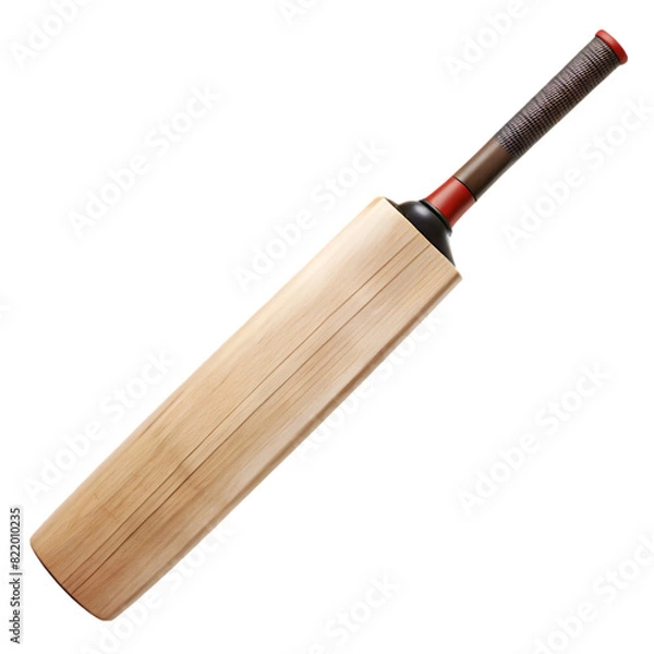 Obraz cricket bat transparent background