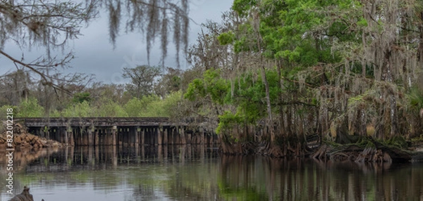 Fototapeta Scenic view of Florida's Fisheating Creek
