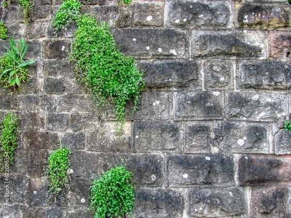 Fototapeta schlossmauer