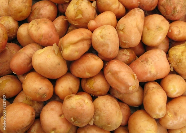 Fototapeta Potatoes perfect