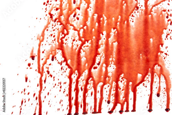 Obraz Blood splatter on white