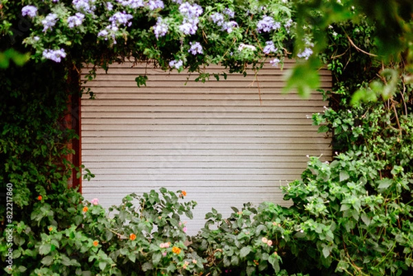 Fototapeta frame with flowers