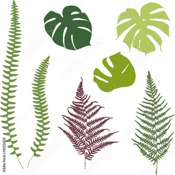 Obraz Fern and monstera silhouettes