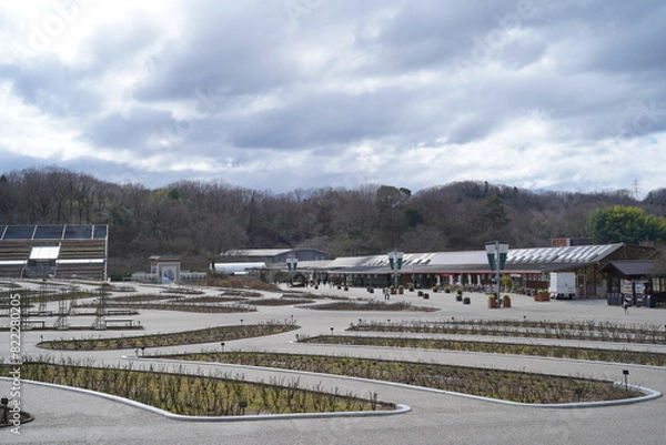 Obraz 冬のぎふワールド・ローズガーデン