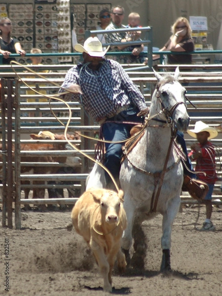Obraz cowboy roping a calf