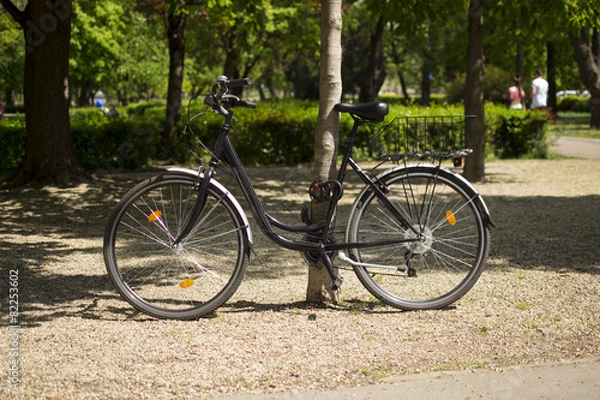 Obraz Bicycle locked to tree