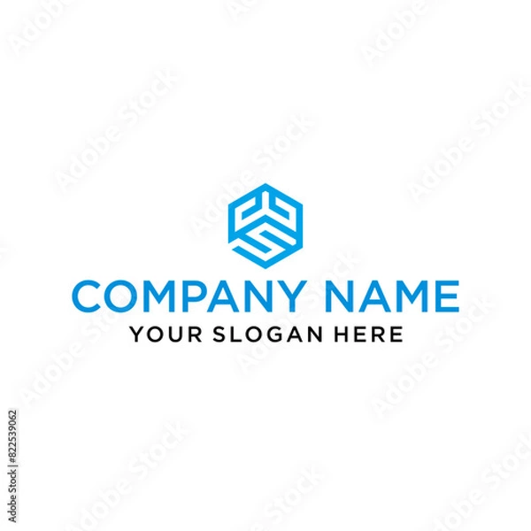 Fototapeta WS letter shaped hexagon and cube logo with letter design for company identity