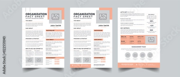 Fototapeta Nonprofit Organization Fact Sheet layout design template with 3 style design concept