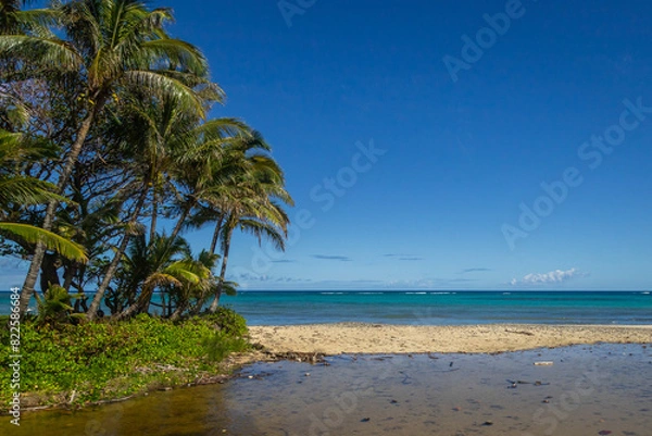 Obraz Exposure of pretty Hawaiian sea, shore and mountains along the East coast of Oahu island