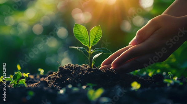 Fototapeta Hands planting a growing sprout in the earth, human responsibility for nature conservation, symbolic gesture for environmental protection. Generative AI.